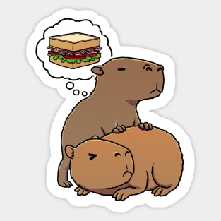 Capybara hungry for BLT Sandwich Sticker